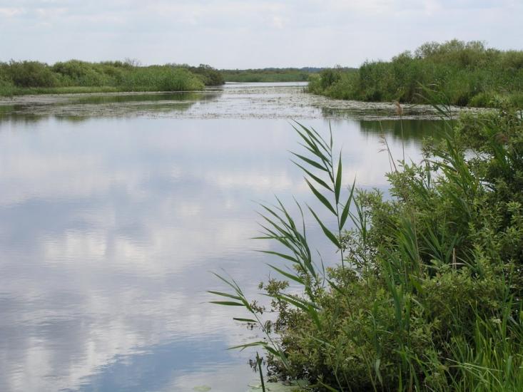 Угриничі з panoramio.com - Угриничі