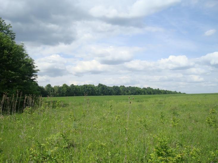 Мала Стружка з panoramio.com - Мала Стружка