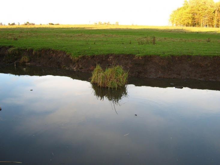 Підлісне з panoramio.com - Підлісне