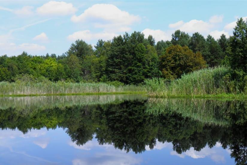 Бучин з panoramio.com - Бучин