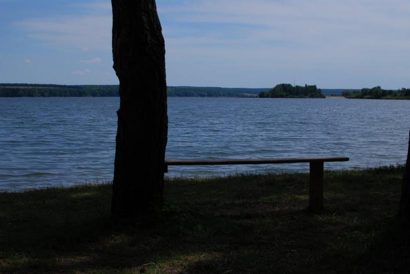 Степашки з panoramio.com - Степашки