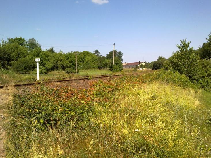 Ситківці з panoramio.com - Ситковцы