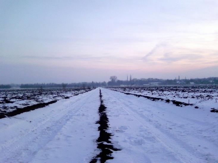 Созонівка з panoramio.com - Созоновка