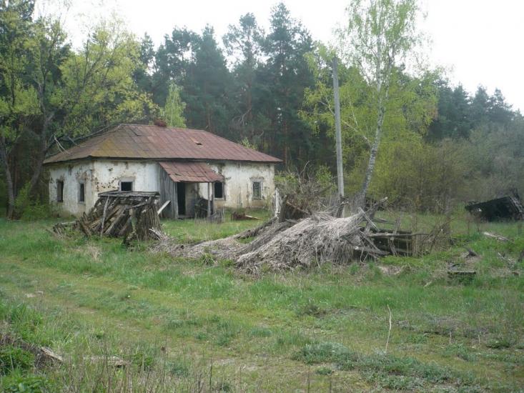 Загрунівка з panoramio.com - Загрунівка