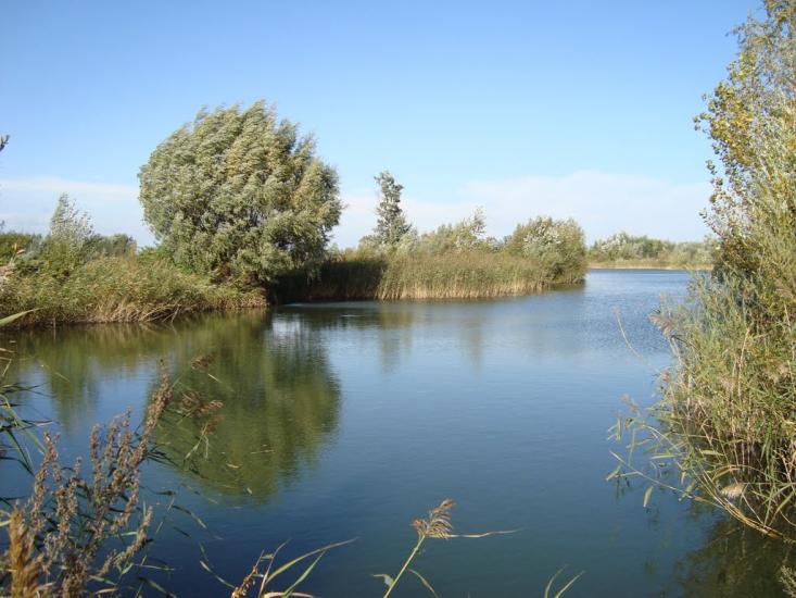 Буців з panoramio.com - Буцов