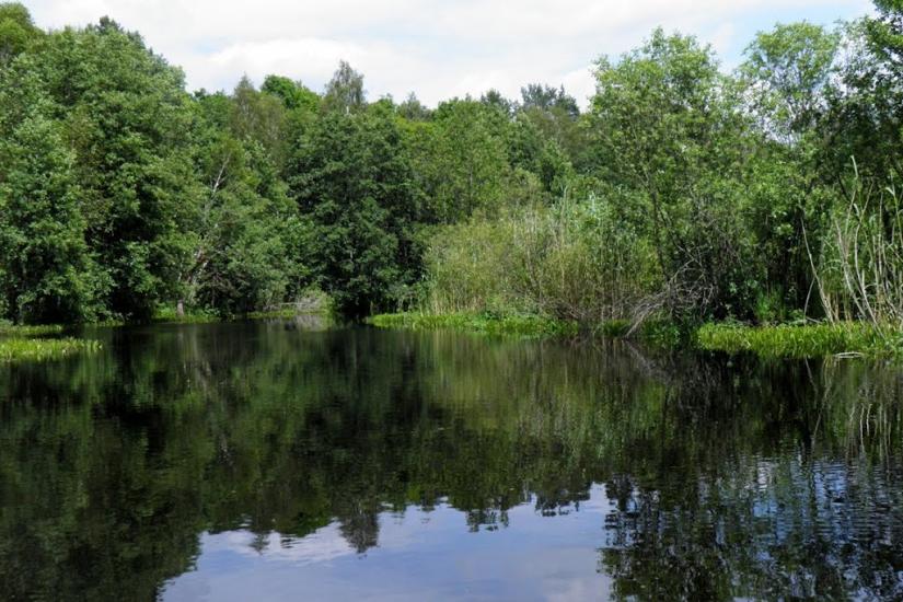 Бучин з panoramio.com - Бучин