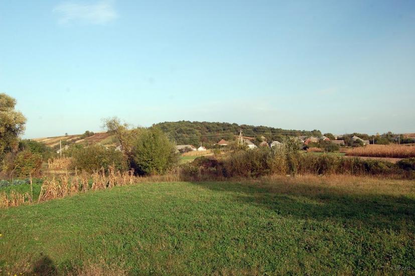 Нижнє Солотвино з panoramio.com - Нижнее Солотвино