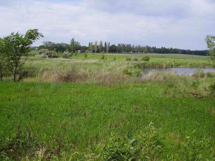 Доля з panoramio.com - Доля