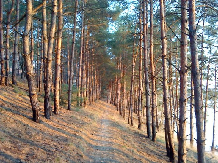 Заозерне з panoramio.com - Заозерное