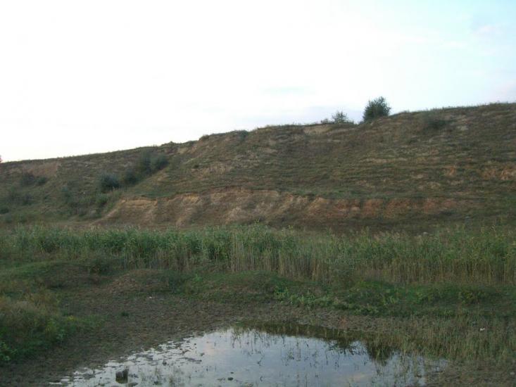 Жовтневе з panoramio.com - Жовтневе