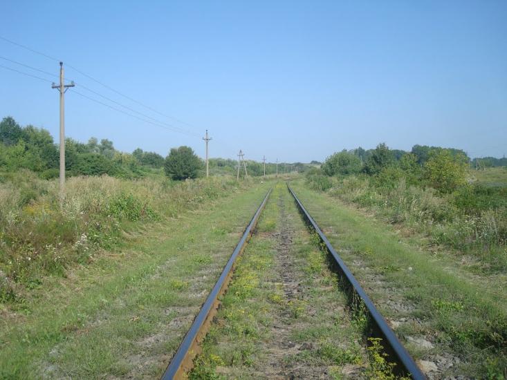 Панівці з panoramio.com - Panivtsi