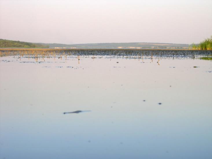 Крилівське з panoramio.com - Крыловское