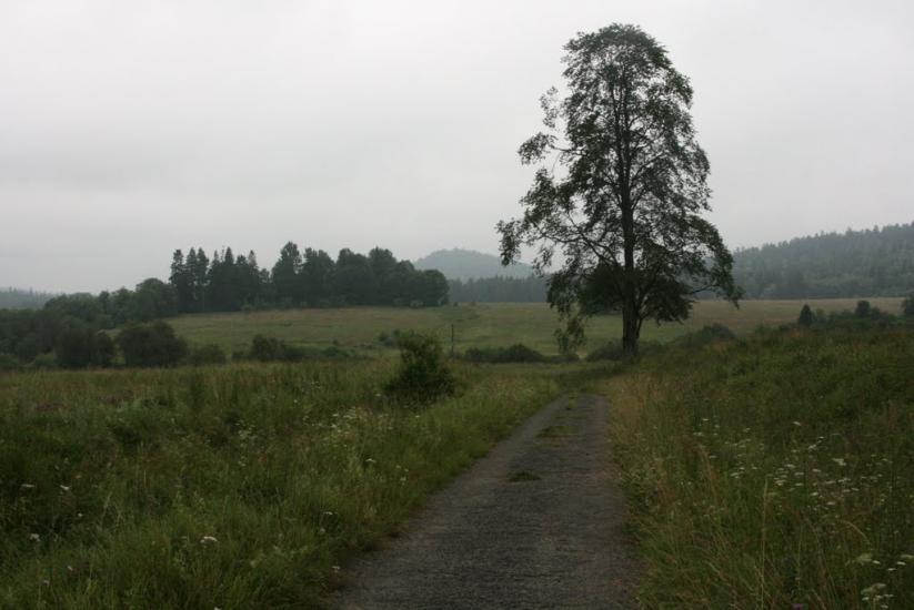 Сянки з panoramio.com - Сянки