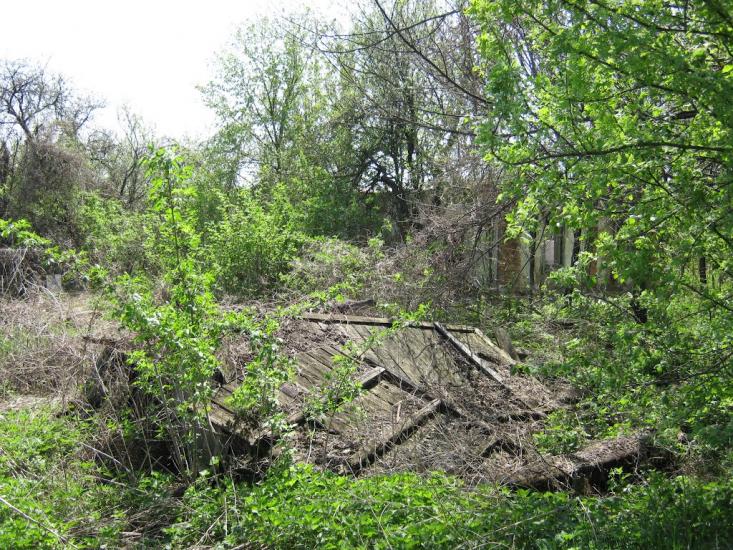 Коновалове з panoramio.com - Коновалово