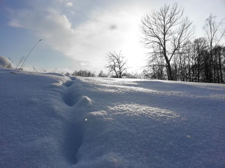 Симони з panoramio.com - Симоны