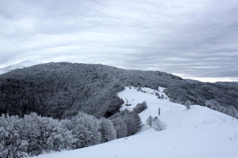 Кваси з panoramio.com - Квасы