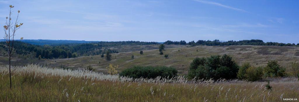 Ходорів з panoramio.com - Ходоров