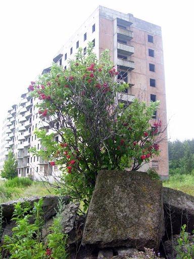 Бірки з panoramio.com - Борки