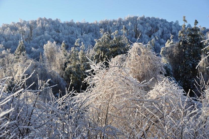 Крехів з panoramio.com - Крехів
