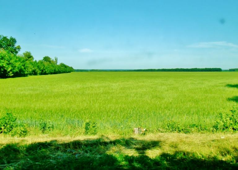 Козацьке з panoramio.com - Казацкое