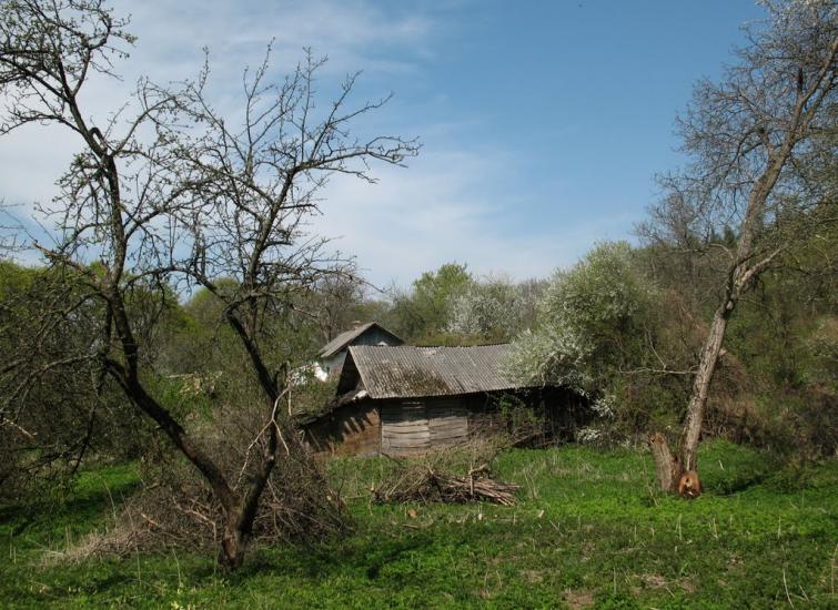 Шопки з panoramio.com - Шопки