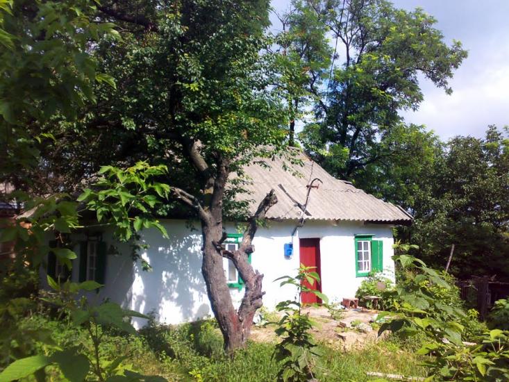 Андріївка з panoramio.com - Андреевка