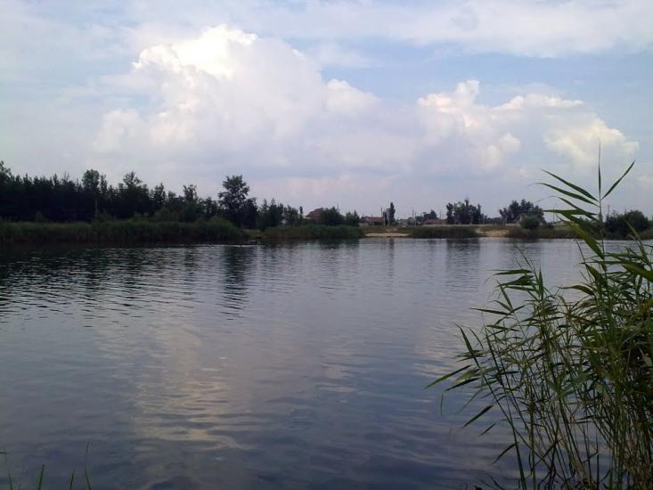 Крива Лука з panoramio.com - Крива Лука