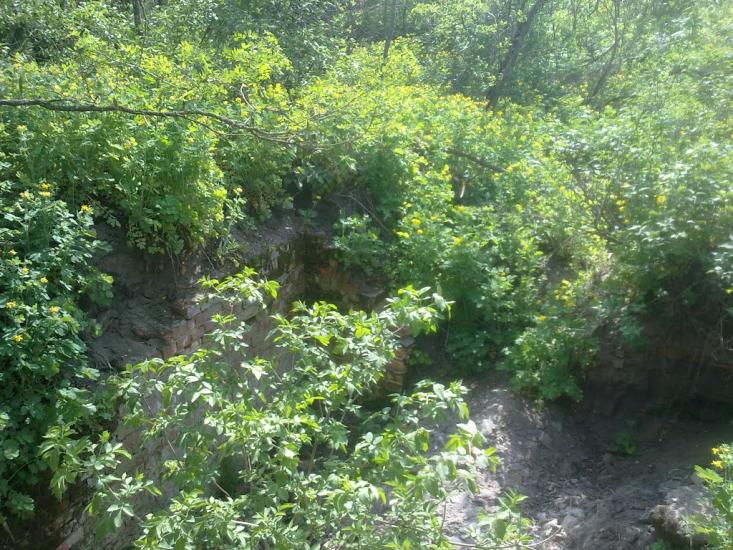 Стара Гнилиця з panoramio.com - Старая Гнилица