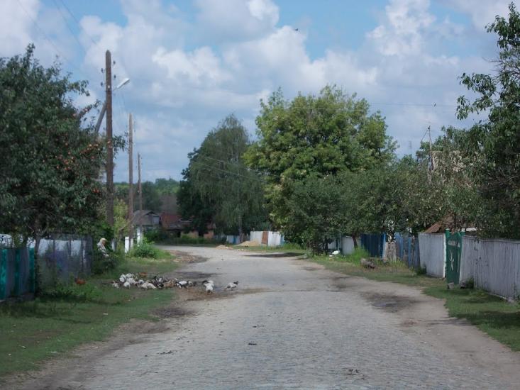 Троща з panoramio.com - Троща