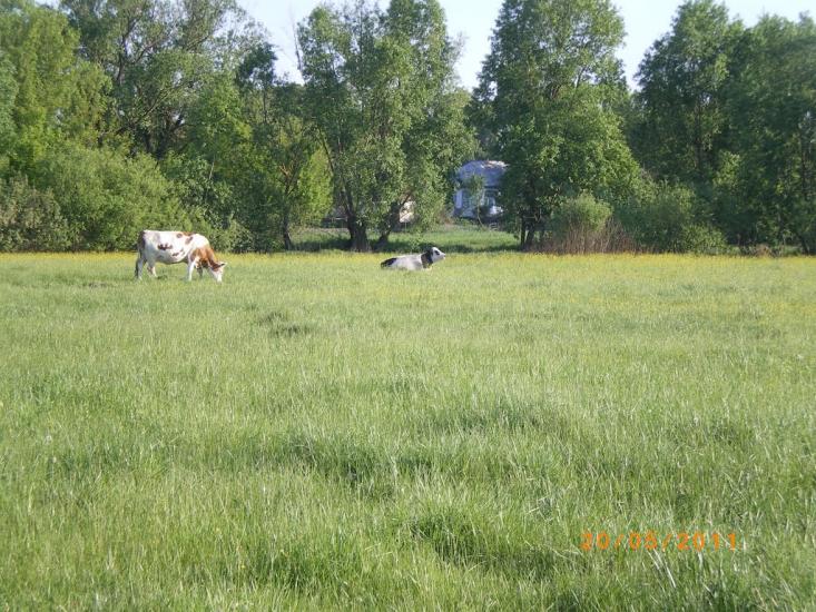 Червоні Партизани з panoramio.com - Володьковська Дівиця