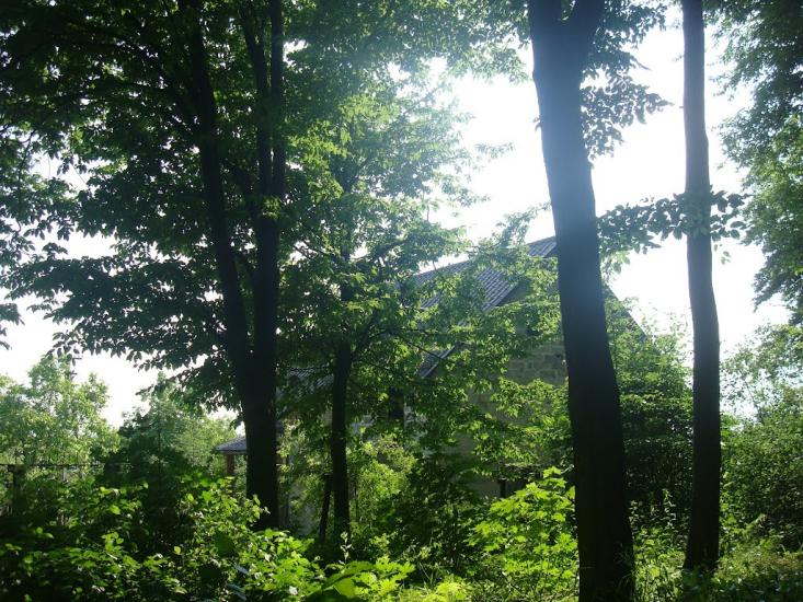 Стуфчинці з panoramio.com - Стуфчинці