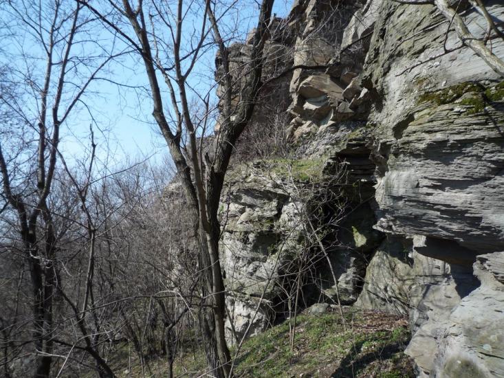 Маломиколаївка з panoramio.com - Малониколаевка