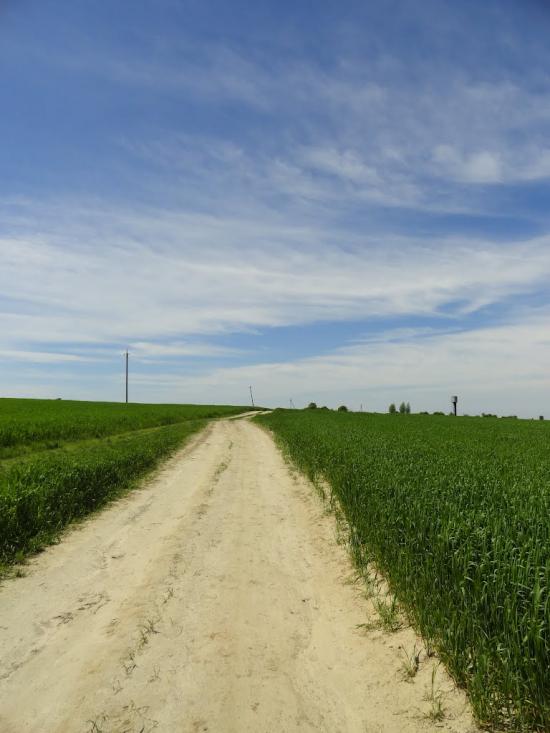 Хорохорин з panoramio.com - Хорохорин