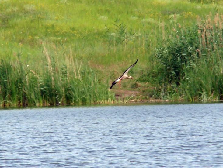 Пилипча з panoramio.com - Пилипча