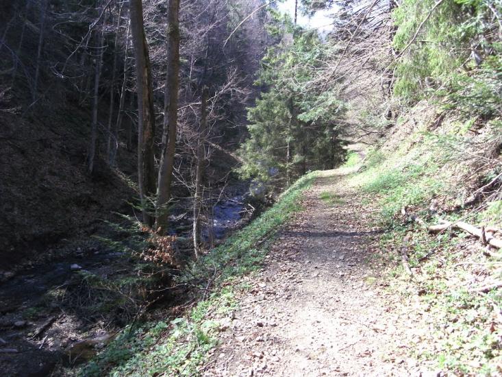 Зубриця з panoramio.com - Зубрица