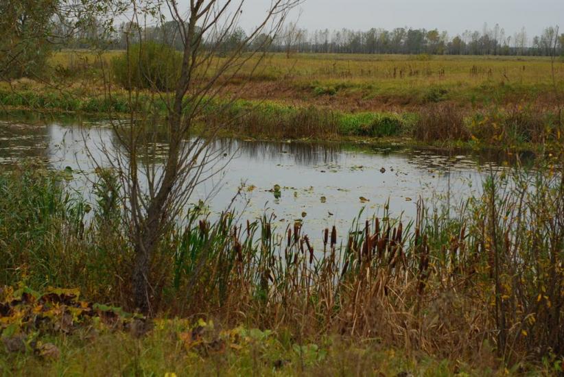 Остапівка з panoramio.com - Остаповка