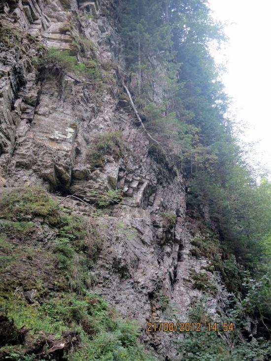 Кричка з panoramio.com - Кричка