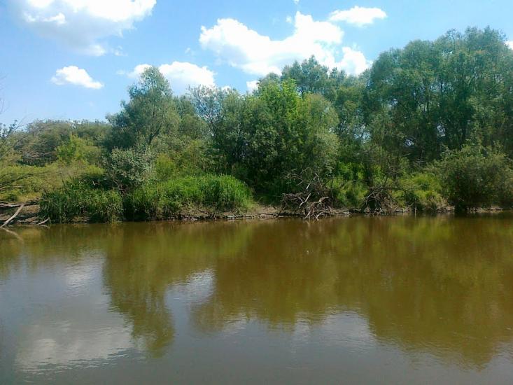 Лежниця з panoramio.com - Lezhnytsya