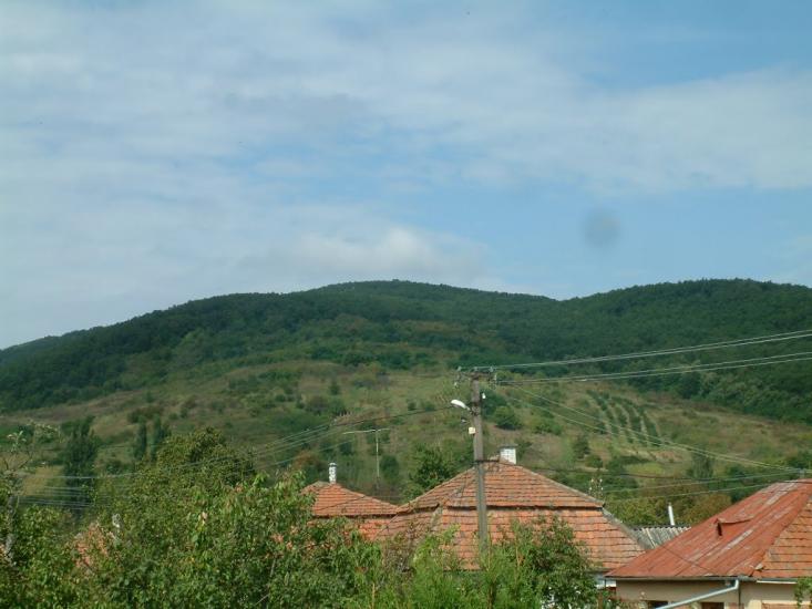 Мужієво з panoramio.com - Мужиево