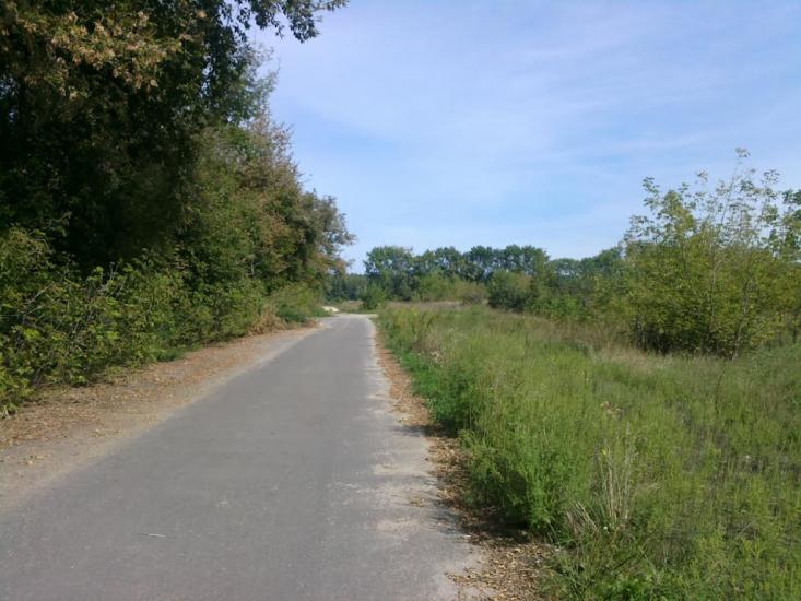 Щасливе з panoramio.com - Щасливе