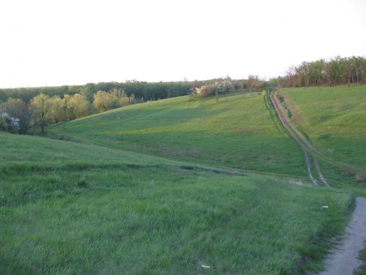 Созонівка з panoramio.com - Созонівка