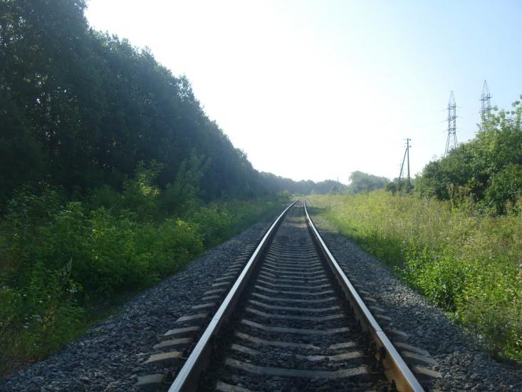 Панівці з panoramio.com - Панівці