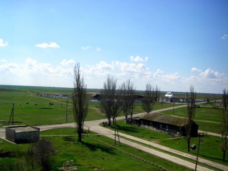 Світле з panoramio.com - Светлое