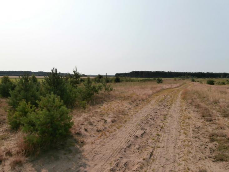 Ниговищі з panoramio.com - Ниговищі