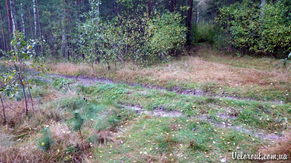 Гаєвичі з panoramio.com - Гаєвичі