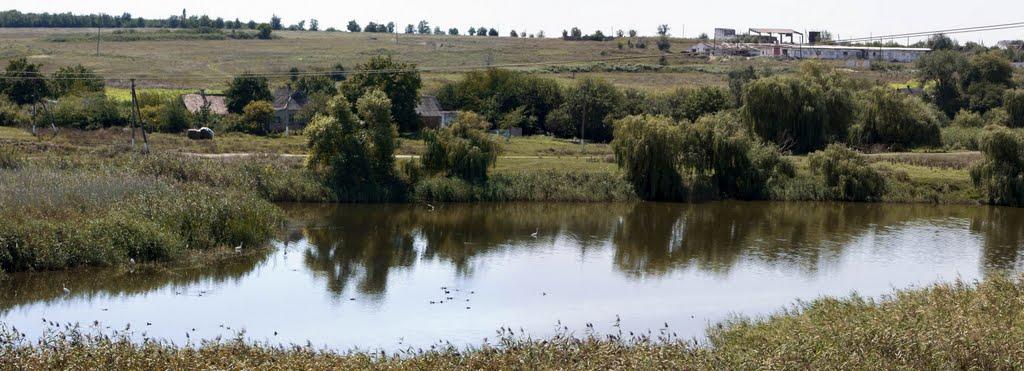 Недайвода з panoramio.com - Недайвода