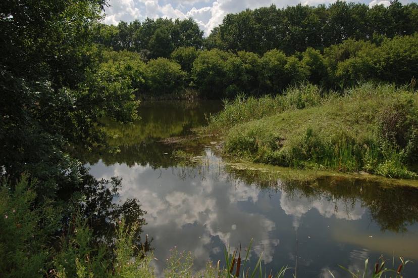 Іскра з panoramio.com - Искра