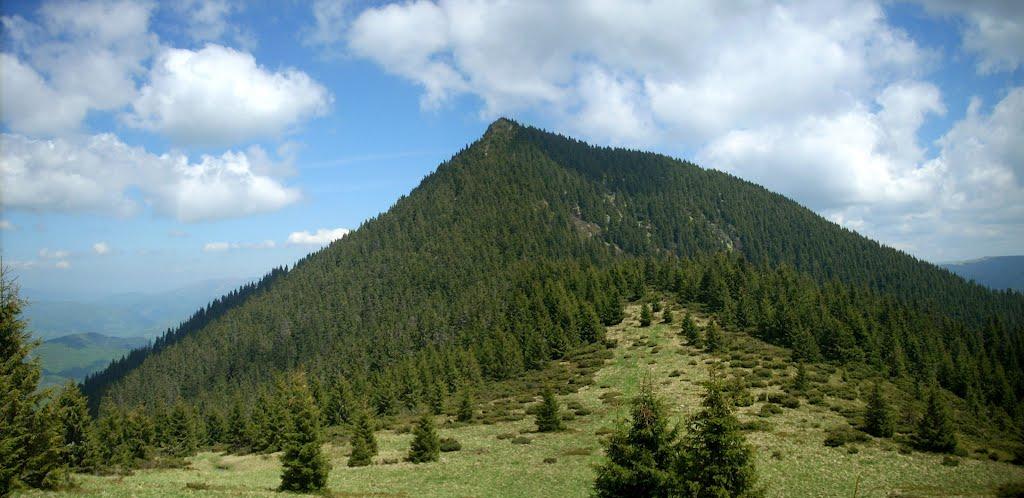 Видричка з panoramio.com - Видричка