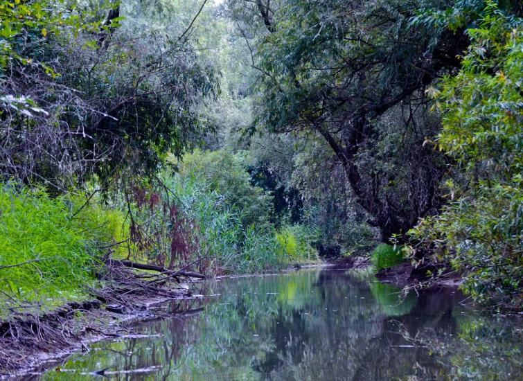 Яськи з panoramio.com - Jasky