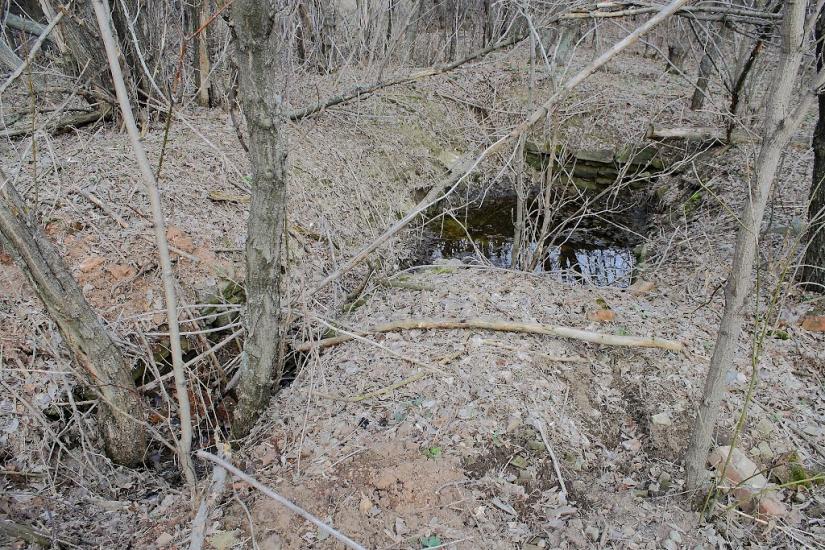 Плещіївка з panoramio.com - Плещеевка